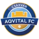 Aqvital FC Csakvar