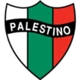 CD Palestino (Virtual)