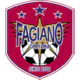 Fagiano Okayama