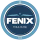 Fenix Toulouse HB