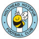 Holyhead Hotspur