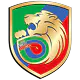 Miedz Legnica