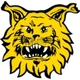 Tampereen Ilves