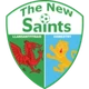 The New Saints