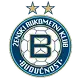ZRK Buducnost (f)